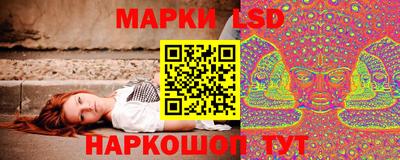 стаф Донецк