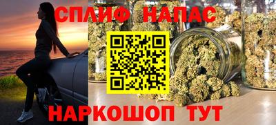 стаф Донецк