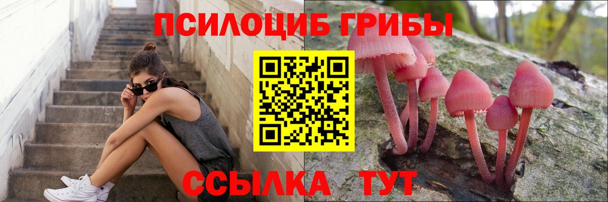 Галлюциногенные грибы ЛСД  Вход с VPN  Заводоуковск 